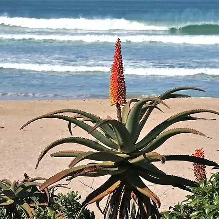 Alpha Apartment Jeffreys Bay Exterior photo