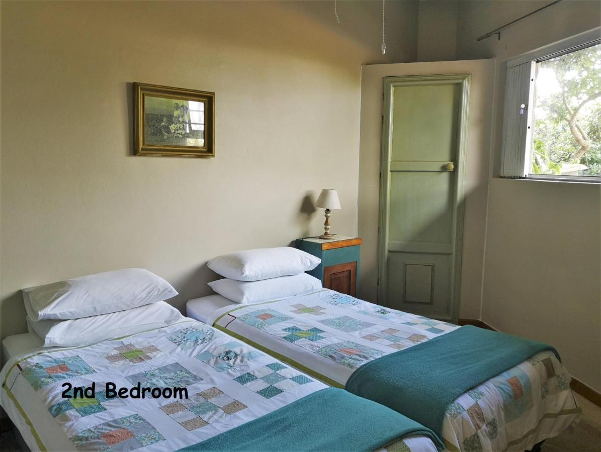 Alpha Apartment